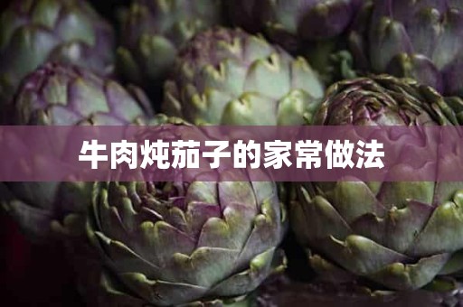 牛肉炖茄子的家常做法