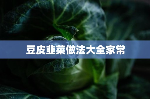 豆皮韭菜做法大全家常