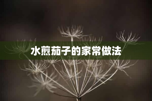 水煎茄子的家常做法