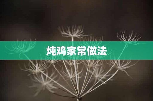 炖鸡家常做法