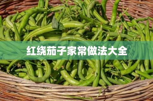 红绕茄子家常做法大全