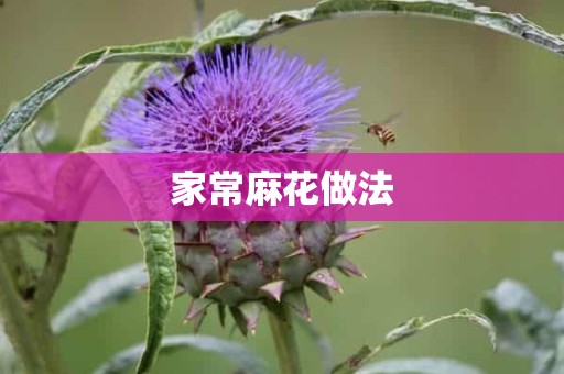 家常麻花做法