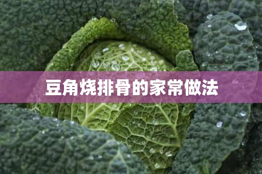 豆角烧排骨的家常做法