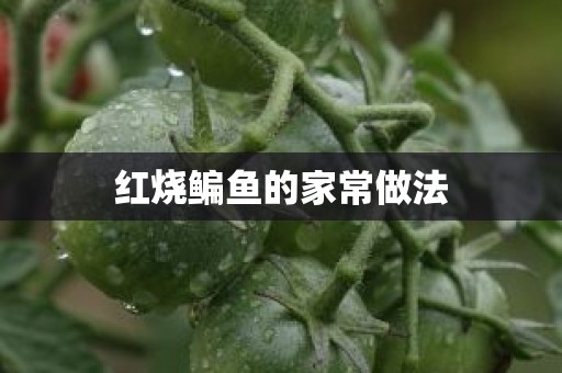 红烧鳊鱼的家常做法