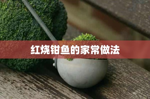 红烧钳鱼的家常做法