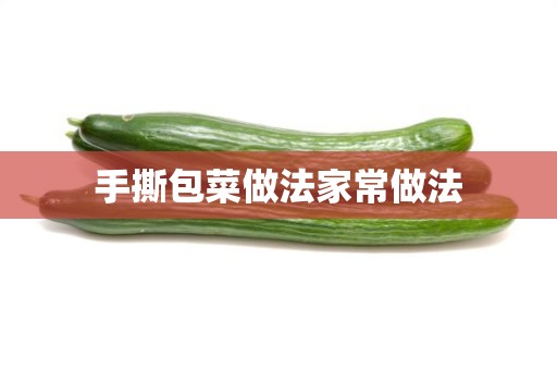 手撕包菜做法家常做法