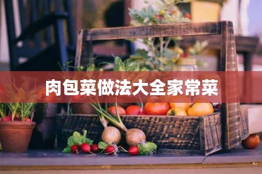 肉包菜做法大全家常菜