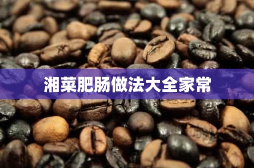 湘菜肥肠做法大全家常