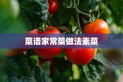 菜谱家常菜做法素菜