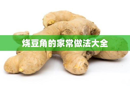 烧豆角的家常做法大全