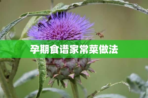 孕期食谱家常菜做法