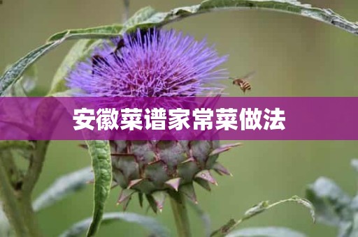 安徽菜谱家常菜做法