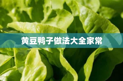 黄豆鸭子做法大全家常