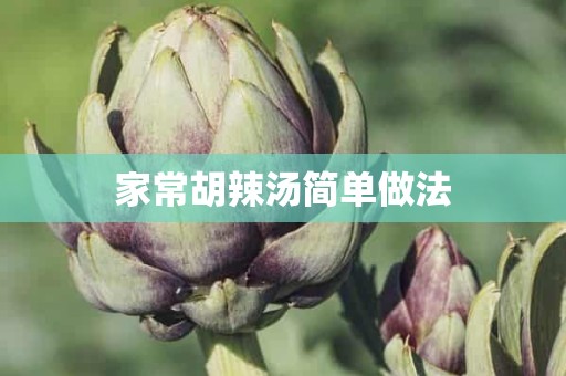 家常胡辣汤简单做法