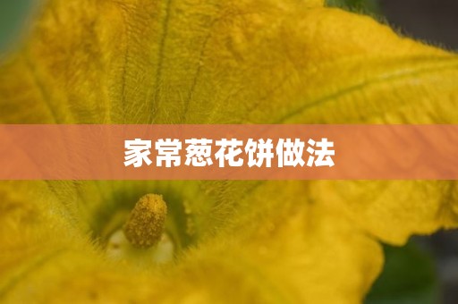 家常葱花饼做法