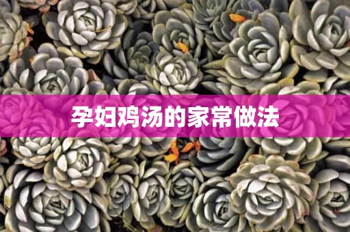 孕妇鸡汤的家常做法