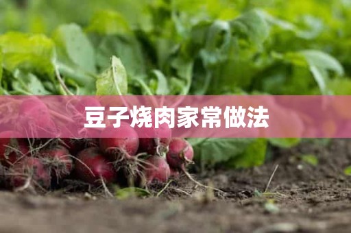 豆子烧肉家常做法