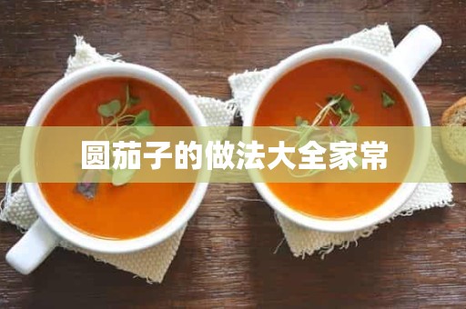 圆茄子的做法大全家常