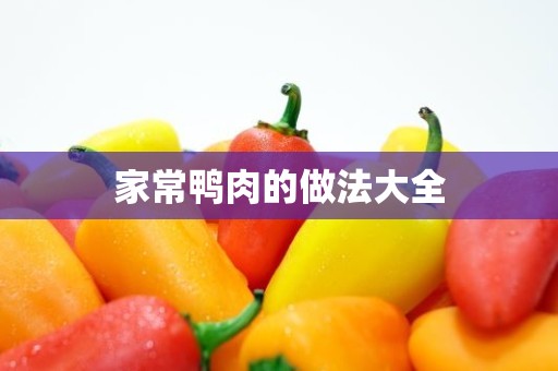 家常鸭肉的做法大全