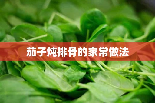 茄子炖排骨的家常做法