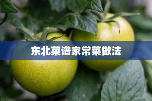 东北菜谱家常菜做法