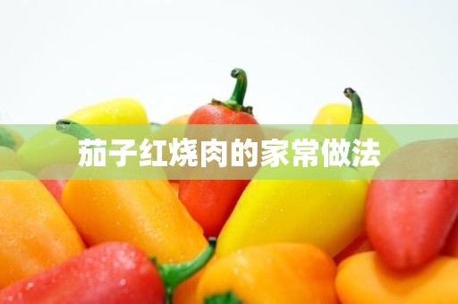 茄子红烧肉的家常做法