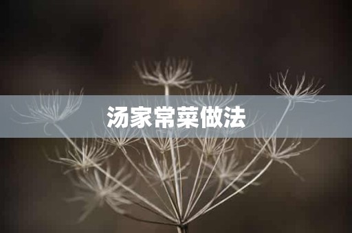 汤家常菜做法