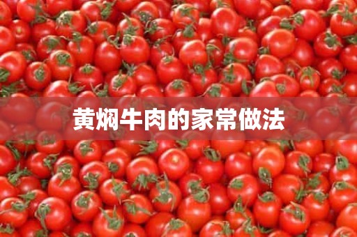 黄焖牛肉的家常做法