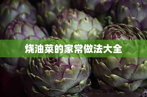 烧油菜的家常做法大全