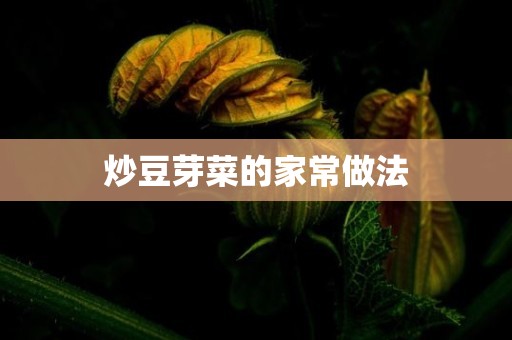 炒豆芽菜的家常做法