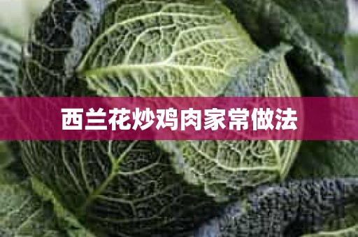 西兰花炒鸡肉家常做法