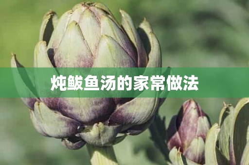 炖鲅鱼汤的家常做法