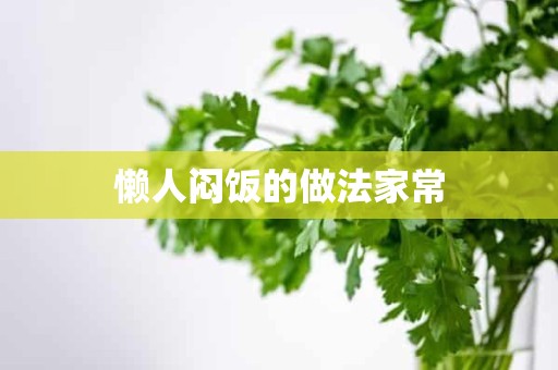 懒人闷饭的做法家常