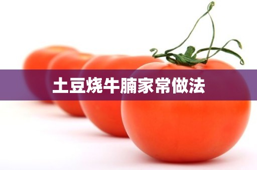 土豆烧牛腩家常做法