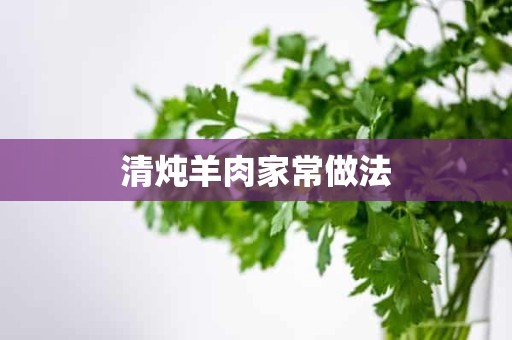 清炖羊肉家常做法