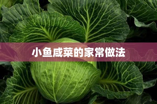 小鱼咸菜的家常做法