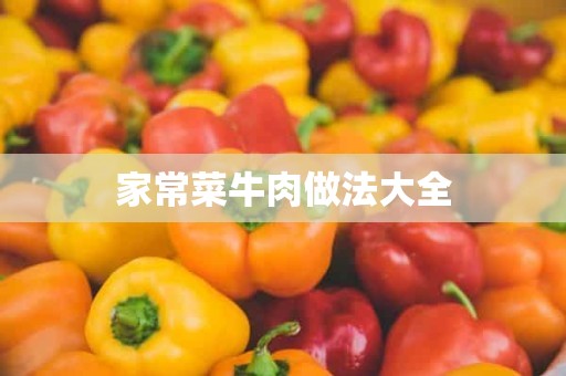 家常菜牛肉做法大全