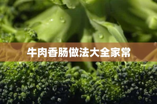 牛肉香肠做法大全家常