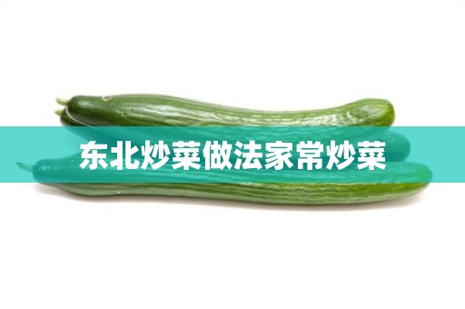 东北炒菜做法家常炒菜