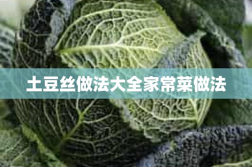 土豆丝做法大全家常菜做法