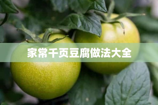 家常千页豆腐做法大全