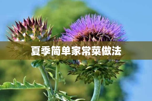 夏季简单家常菜做法