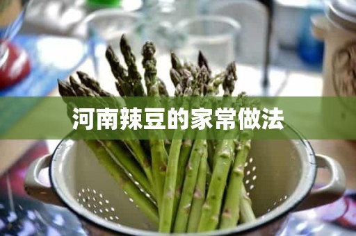 河南辣豆的家常做法