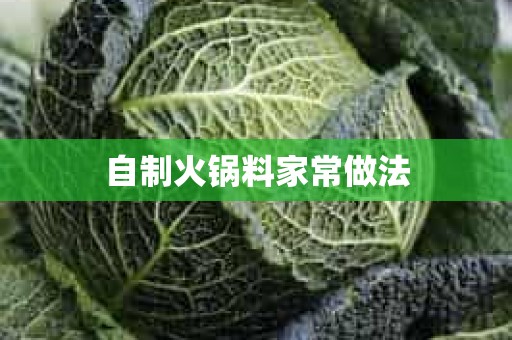 自制火锅料家常做法