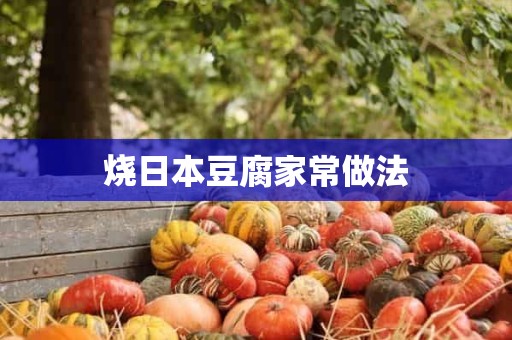 烧日本豆腐家常做法