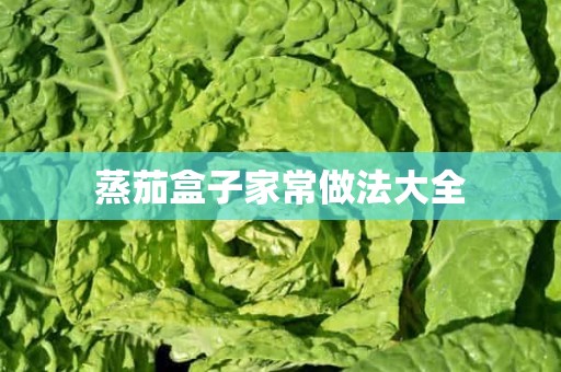 蒸茄盒子家常做法大全