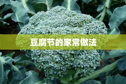 豆腐节的家常做法