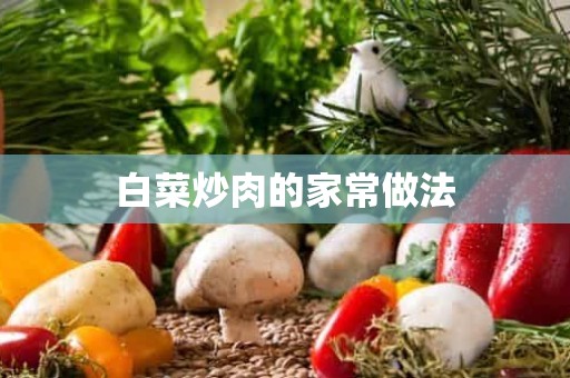 白菜炒肉的家常做法