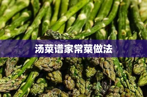 汤菜谱家常菜做法