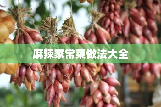 麻辣家常菜做法大全